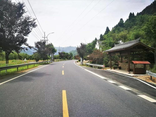 臨安公路榮膺省級綠化美化精品道路，橋梁藝術融入生態長廊